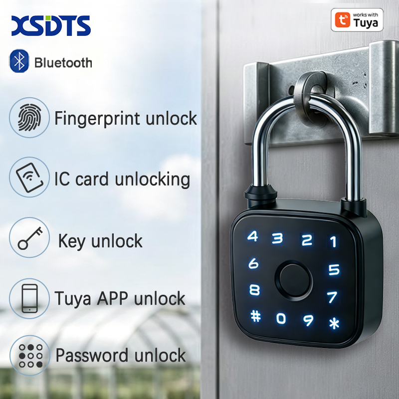 Tuya Smart Padlock, Fingerprin - огляд і ціна Cabinet Lock Key