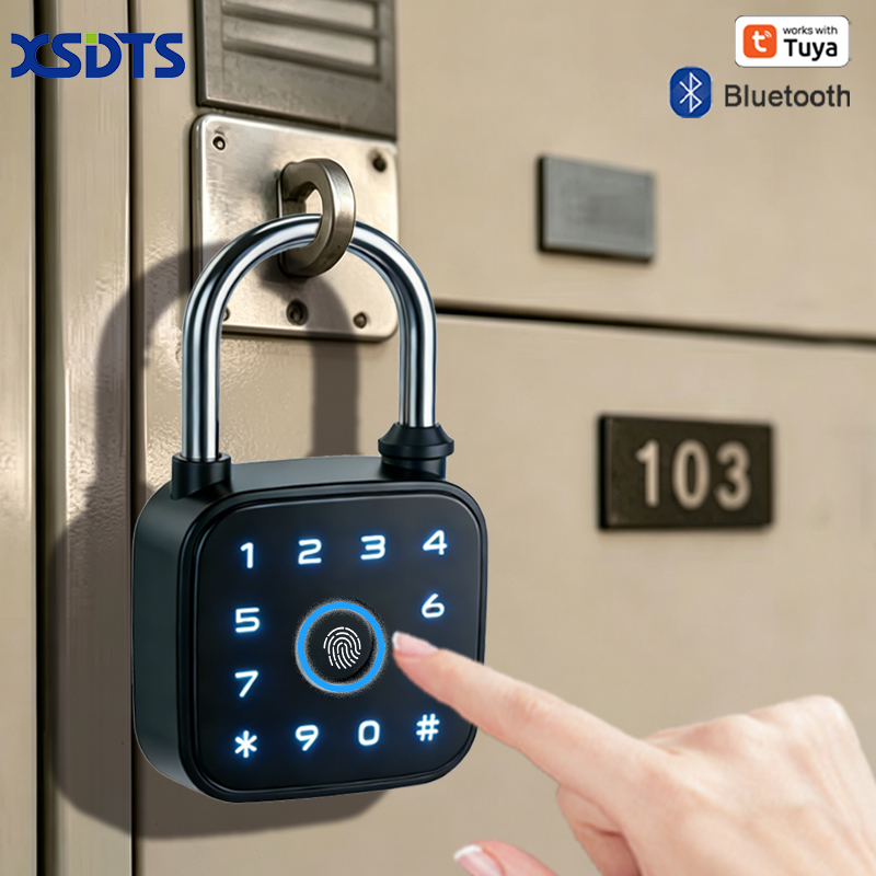 Tuya Smart Padlock, Fingerprin - огляд і ціна Cabinet Lock Key