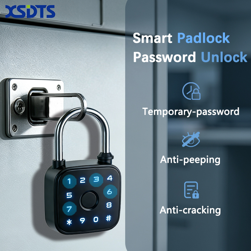 Tuya Smart Padlock, Fingerprin - огляд і ціна Cabinet Lock Key